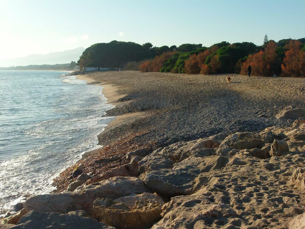 Cozzy Flat In A Quiet And Nice Area / Acogedor Apartamento En Zona Tranquila Y Agradable Cambrils Exteriör bild